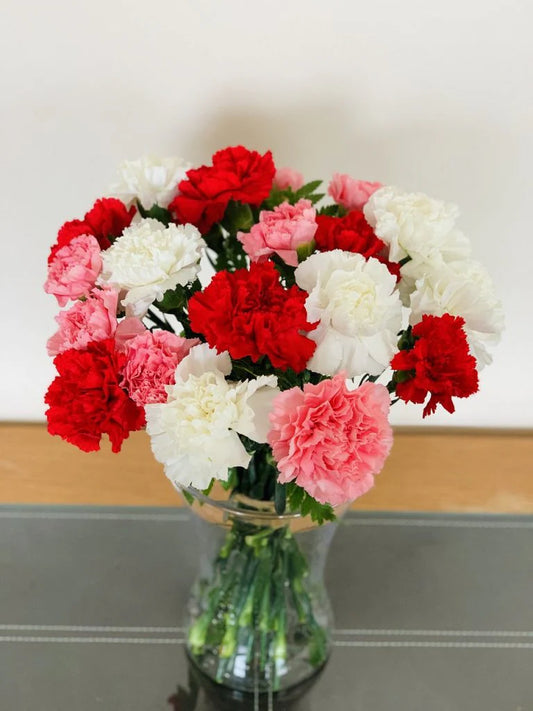 Charming Carnations (Next Day)