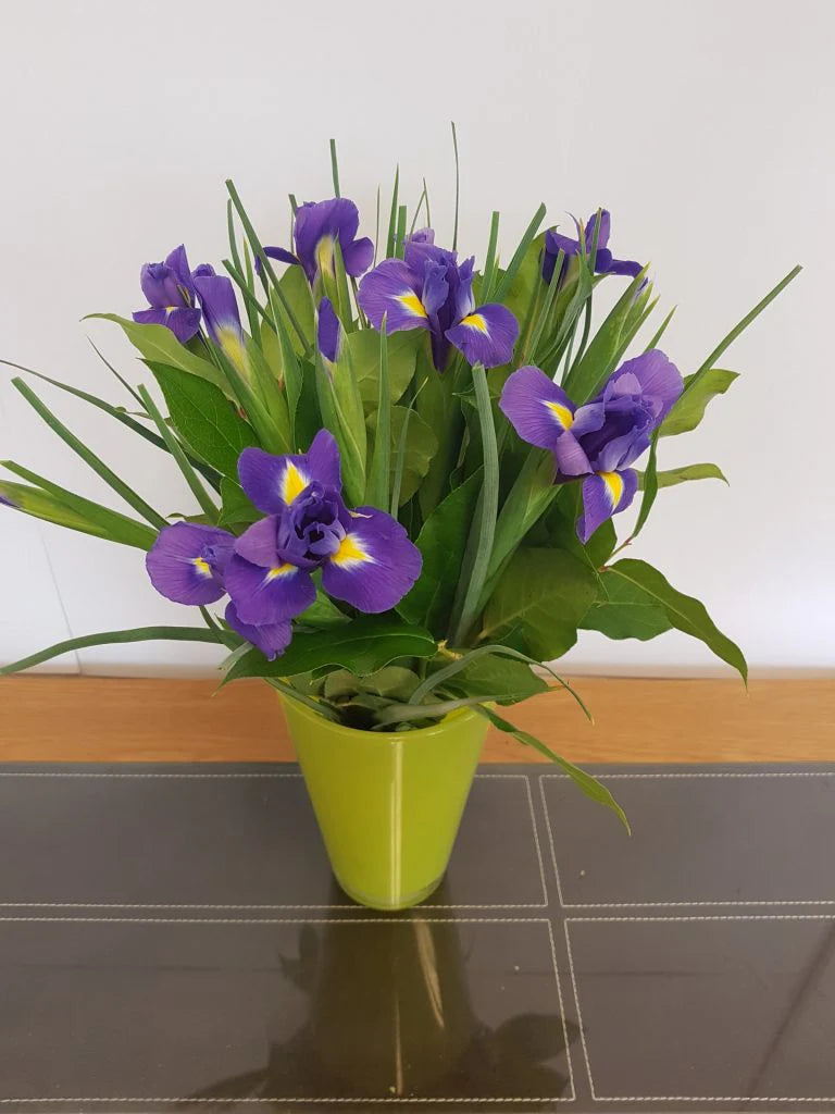Simply Iris (Next Day)