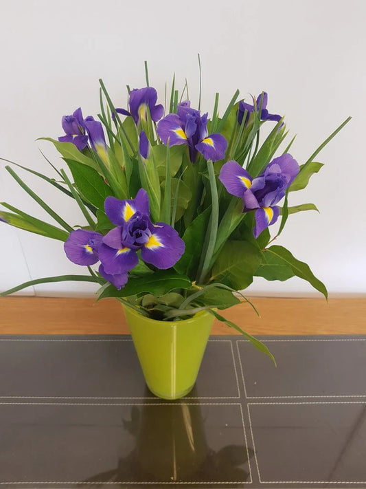 Simply Iris (Next Day)